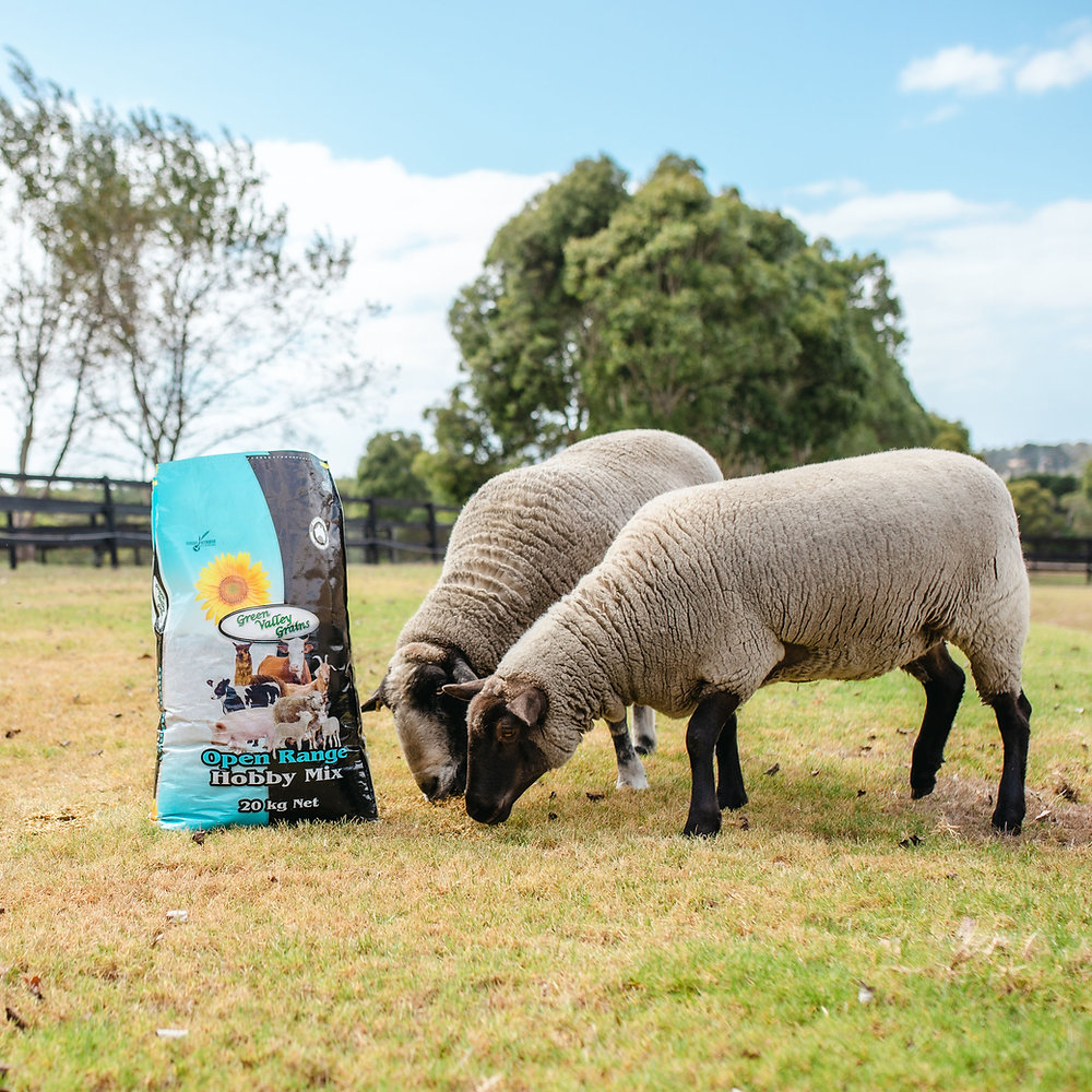 Green Valley Grains Hobby Mix Stockfeed for Farm Animals - Supplement Guide