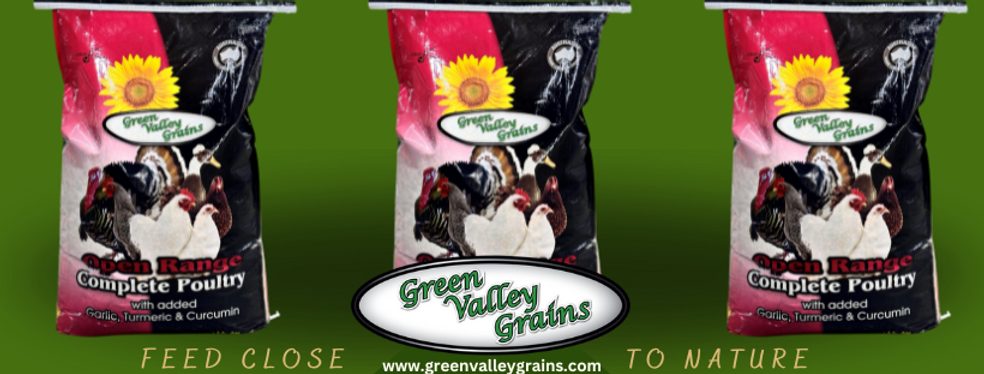 Summary of Research Paper: The Favorite Dosage of Garlic Meal as a Feed Additive in Broiler Chickens Ratios