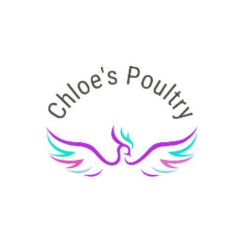 Feeding your chicks with Starter Grower Mash