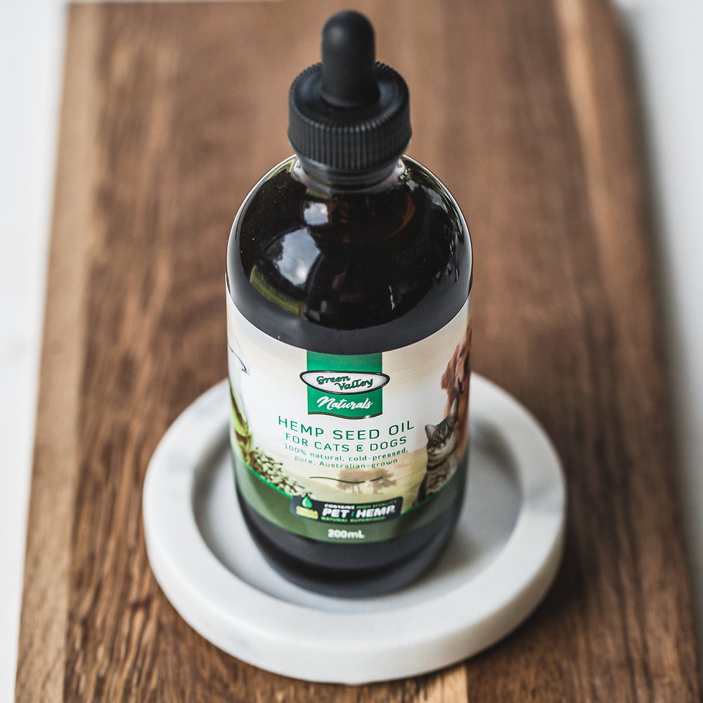 Hemp Seed Oil Success Story - Lola the beautiful Labrador