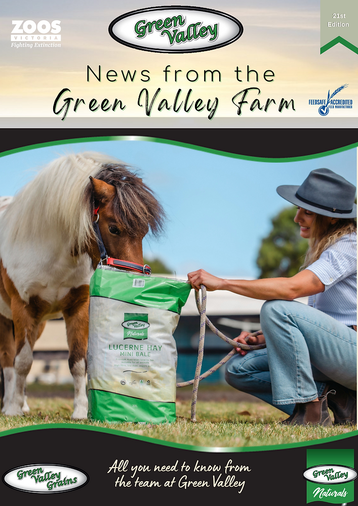 News From the Farm 21st Edition